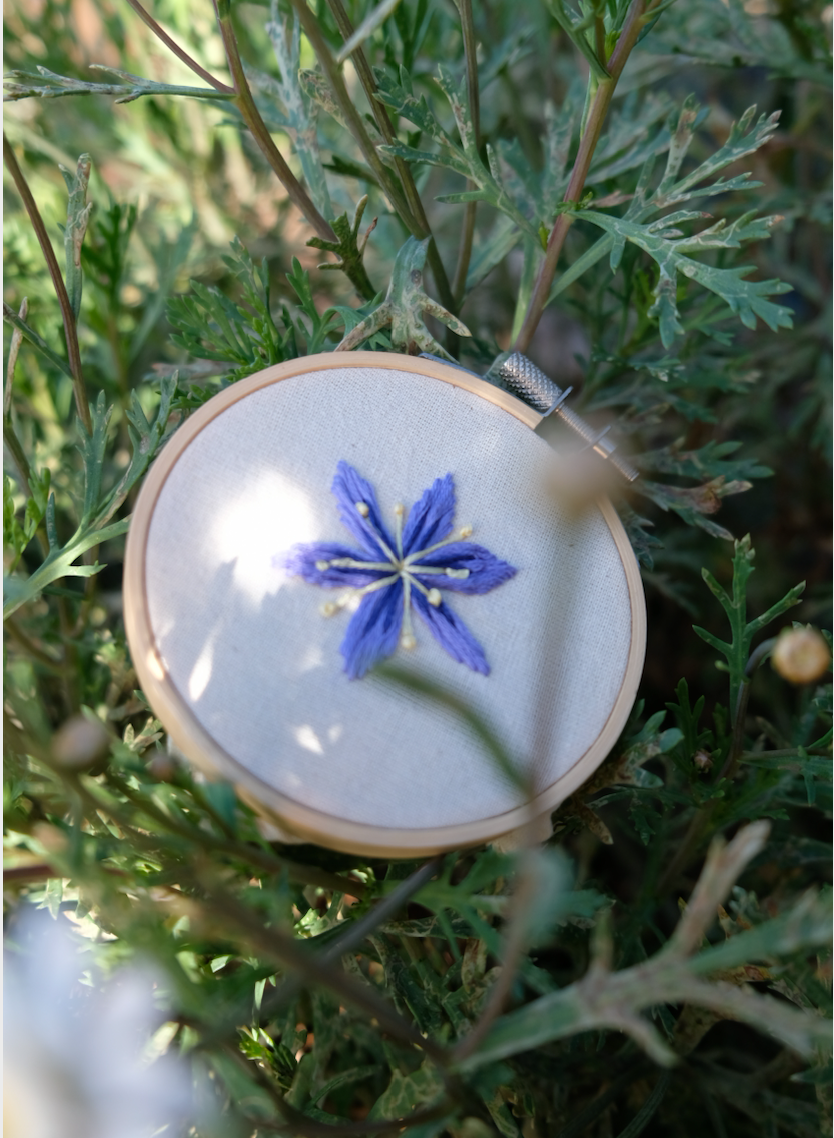 Pack "Stick & Stitch" - Flora Nativa