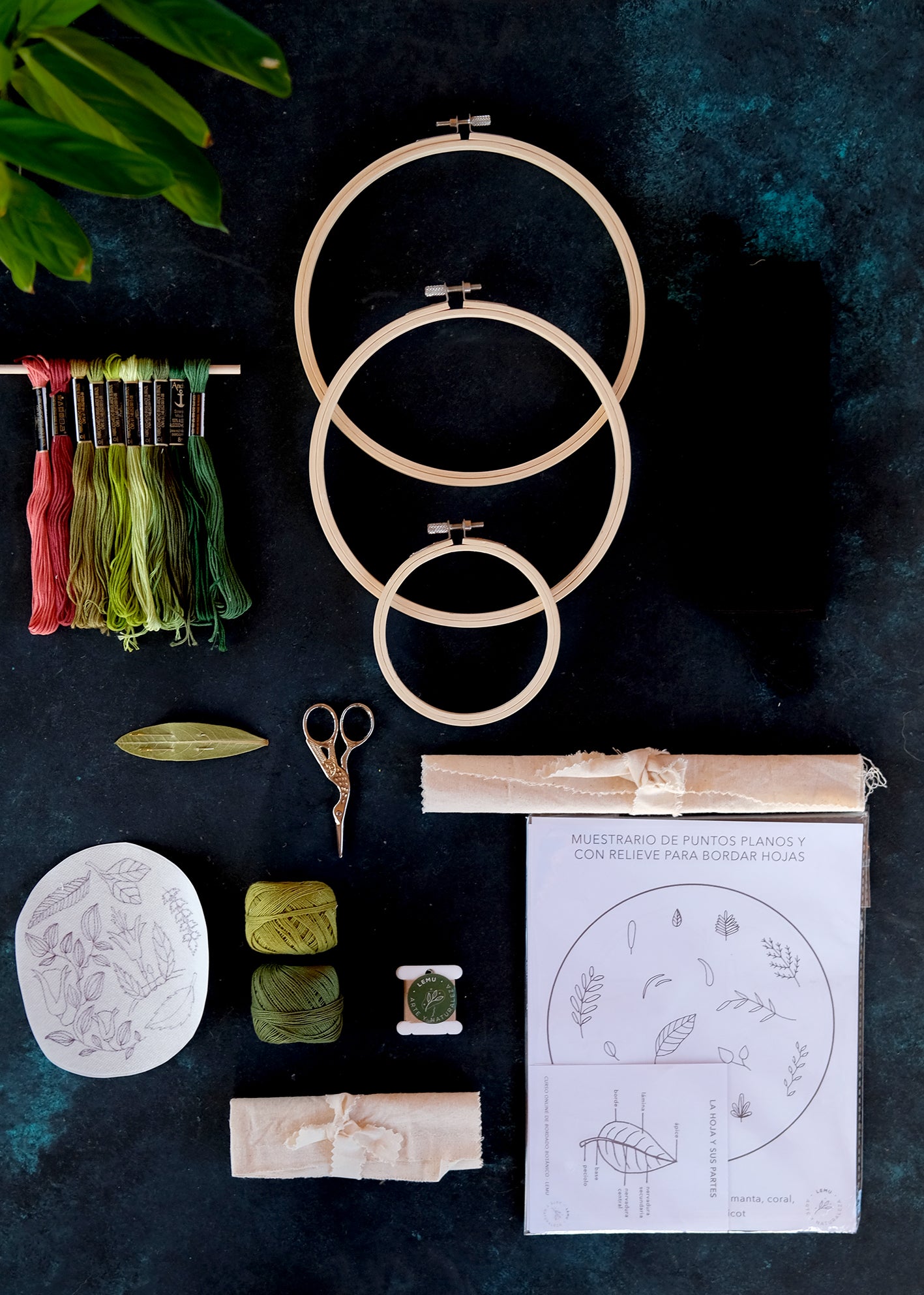 Kit de bordado botánico I