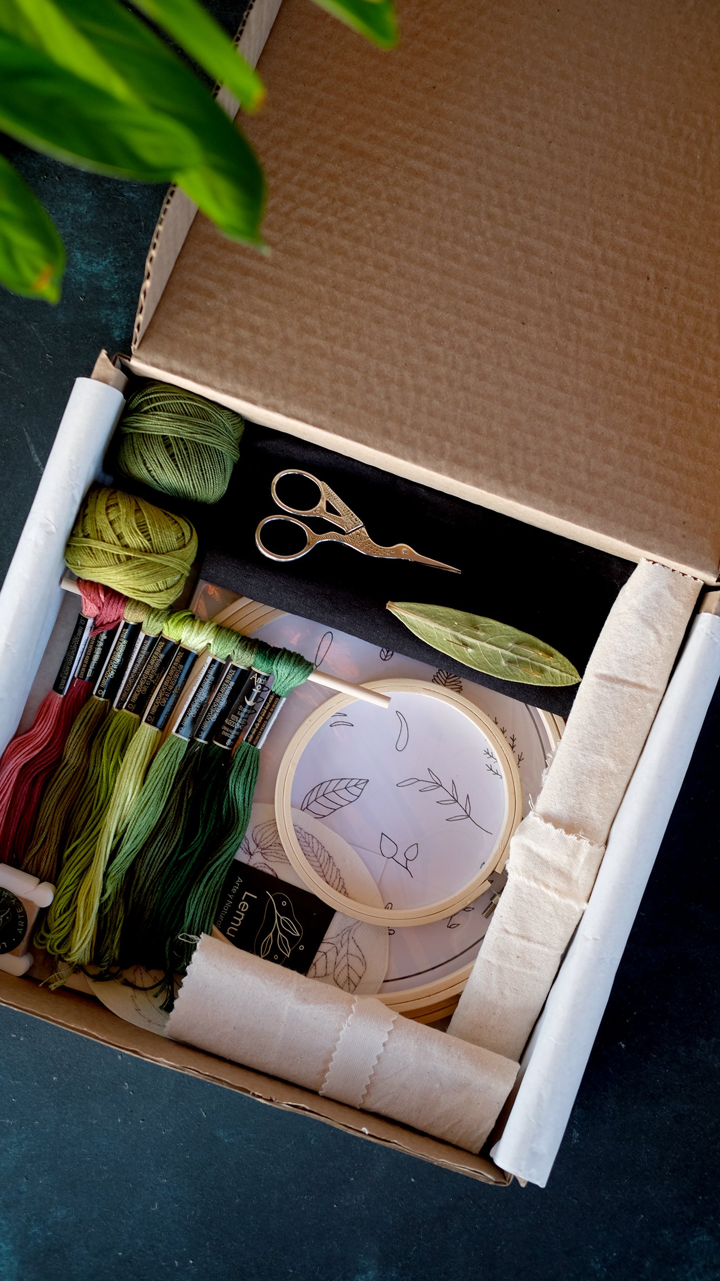 Kit de bordado botánico I