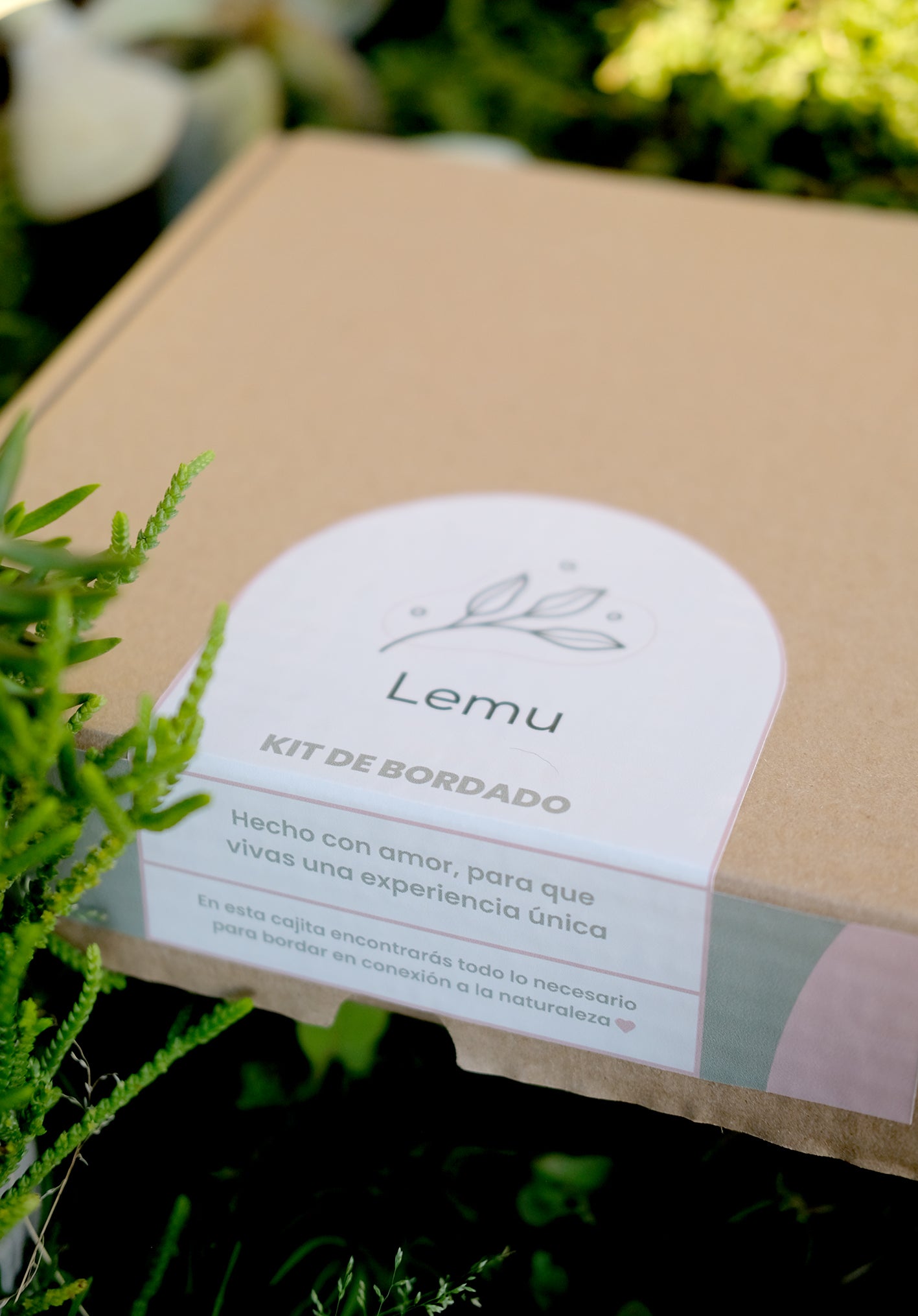 Kit de bordado botánico I