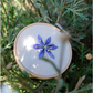 Pack "Stick & Stitch" - Flora Nativa